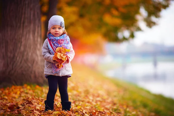 Őszi park imádnivaló baba lány — Stock Fotó