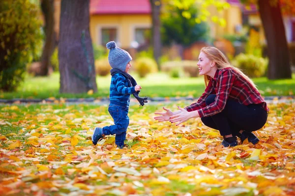 Menino bonito se divertindo com a mãe no parque de outono — Fotografia de Stock