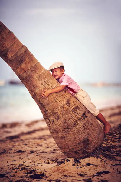 Χαριτωμένο μοντέρνα αγόρι, παιδί αναρρίχηση φοίνικα σε αμμώδη παραλία — Φωτογραφία Αρχείου
