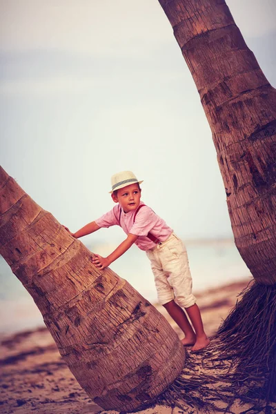 Niedliche modische Junge, Kind klettert die Palme am Sandstrand — Stockfoto