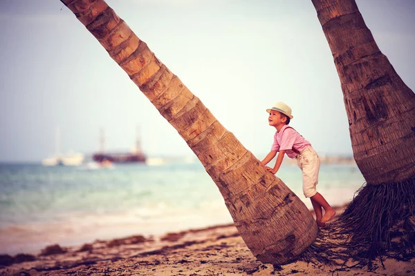 Lindo chico de moda, niño escalando la palmera en la playa de arena — Foto de Stock