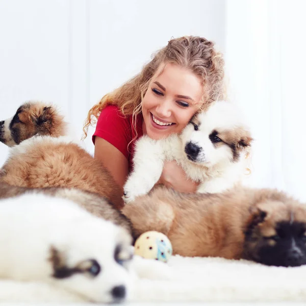 Bela mulher brincando com bonitos cachorros pastor caucasiano — Fotografia de Stock
