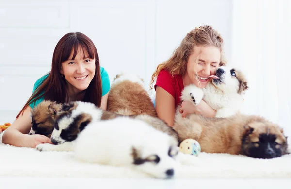 快乐的年轻妇女和高加索牧羊犬幼犬狗的肖像 — 图库照片
