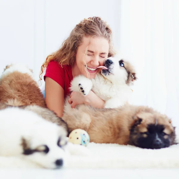 Momento engraçado de filhote de cachorro bonito lambendo rindo menina — Fotografia de Stock