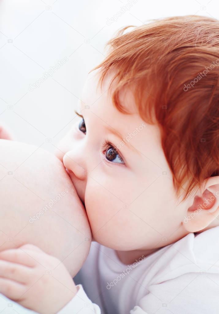 adorable ginger baby with big eyes suckles breast and looks at mom