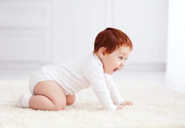 Feliz, nueve meses de edad bebé arrastrándose en la alfombra en casa —  Fotos de Stock