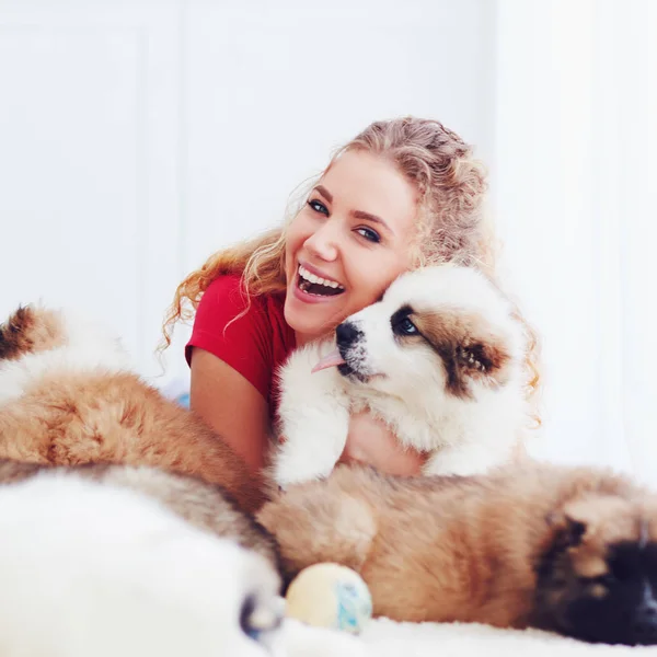 Bela mulher brincando com bonitos cachorros pastor caucasiano, cães — Fotografia de Stock