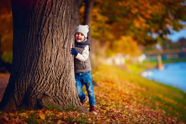 Happy young boy having fun in autumn park — Stock Photo, Image