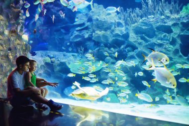 heyecanlı baba ve oğul oceanarium deniz yaşamı izlerken