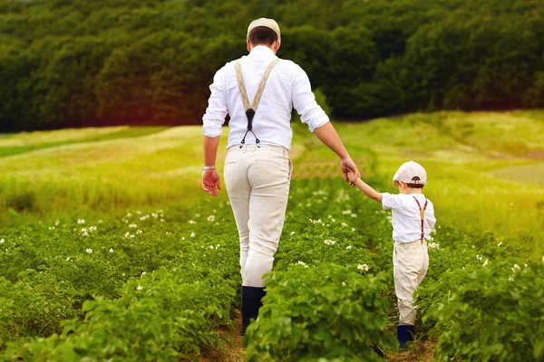Padre e hijo agricultores caminando a lo largo de las filas de patatas entre campos verdes — Foto de Stock
