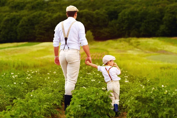 Vader en zoon boeren wandelen langs de aardappelen rijen onder de groene velden — Stockfoto