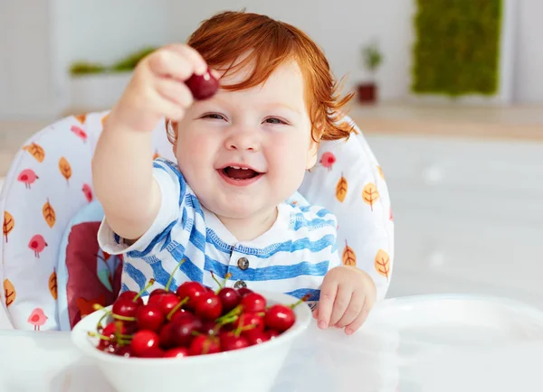 Bonito gengibre bebê menino sentado no highchair e degustação maduro cerejas — Fotografia de Stock