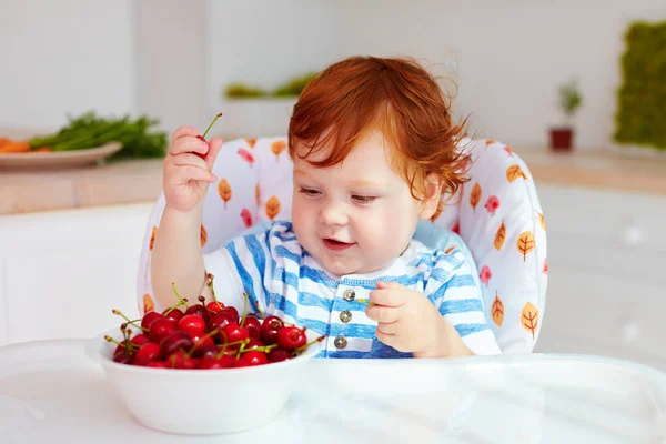 Cute ginger baby boy sitting in highchair and tasting ripe cherries — Stock Photo, Image