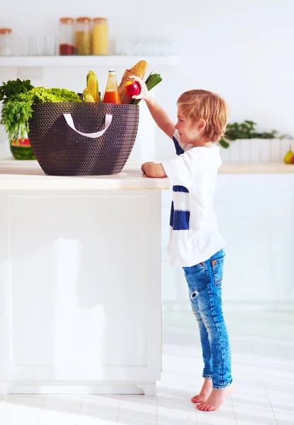 Niño curioso sacando una fruta de la bolsa llena de comida — Foto de Stock
