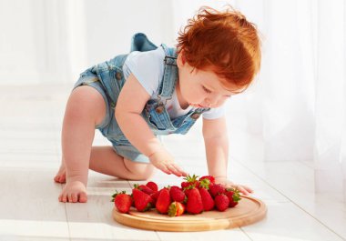 şirin zencefil toddler bebek çilek tatma