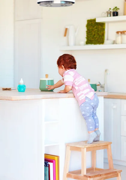 かわいい幼児赤ちゃん登るステップ腰掛け、台所の高い机の上のものに到達しようとしています。 — ストック写真
