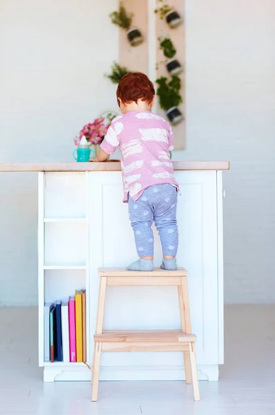 Милый малыш залезает на ступеньку стула, пытаясь добраться до вещей на высоком столе на кухне — стоковое фото