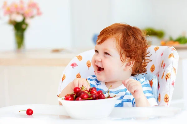 Cute redhead infant baby tasting sweet cherries while sitting in highchair on the kitchen — Stock Photo, Image