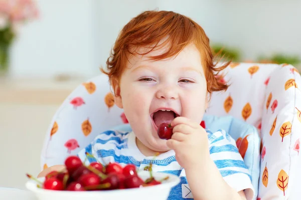 Милый рыжий ребенок дегустирует сладкие вишни, сидя в высоком кресле на кухне — стоковое фото