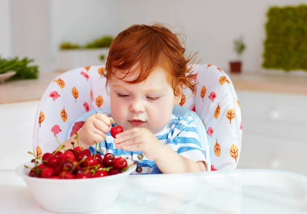 Cute redhead infant baby tasting sweet cherries while sitting in highchair on the kitchen — Stock Photo, Image