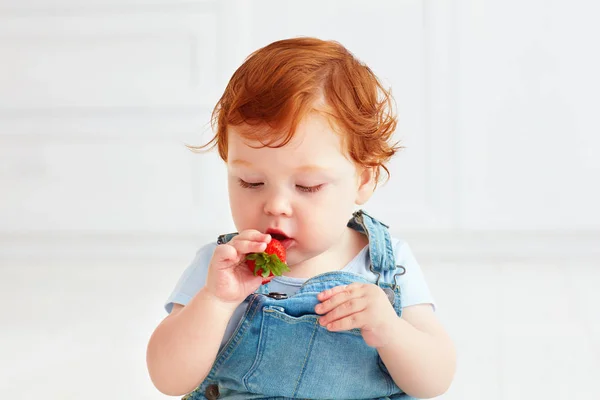 Schattig gember peuter baby proeverij van aardbeien — Stockfoto