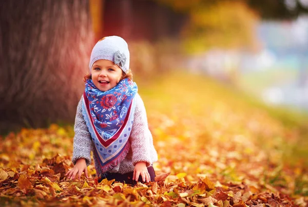 かわいい赤ちゃん女の子楽しんで秋の葉します。 — ストック写真
