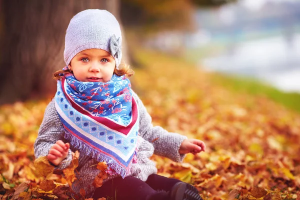 Schönes kleines Mädchen sitzt in fallendem Laub im Herbstpark — Stockfoto