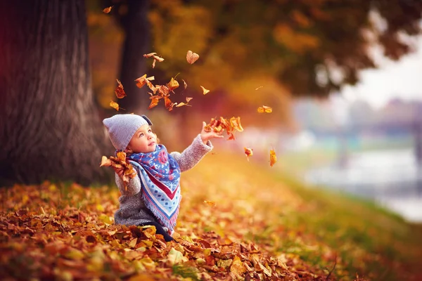 Sevimli mutlu kız düşen yaprakları fırlatıyor, sonbahar parkında oynuyor. — Stok fotoğraf