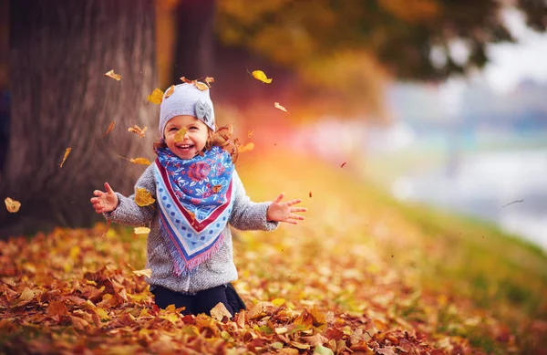 Adorável menina feliz jogando as folhas caídas para cima, jogando no parque de outono — Fotografia de Stock