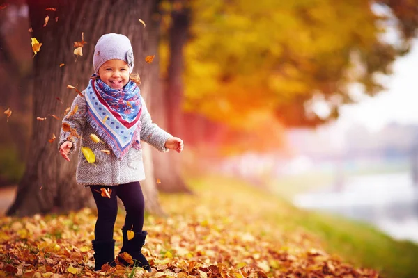 Αξιολάτρευτο ευτυχισμένος κορίτσι παίζει με τα πεσμένα φύλλα το φθινόπωρο πάρκο — Φωτογραφία Αρχείου