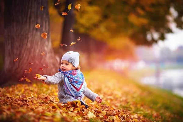 Adorável menina feliz pegando as folhas caídas, jogando no parque de outono — Fotografia de Stock