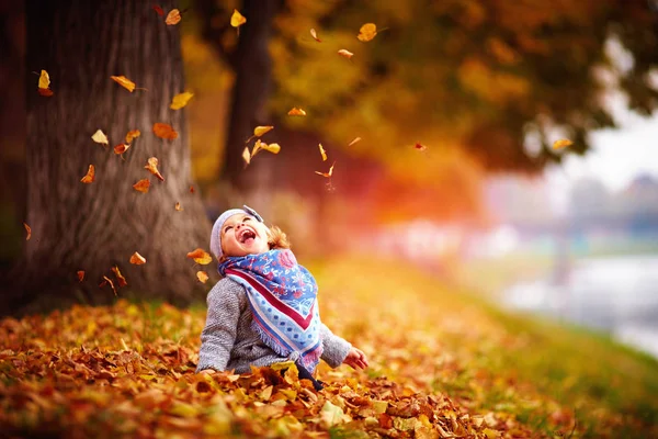 Adorável menina feliz pegando as folhas caídas, jogando no parque de outono — Fotografia de Stock