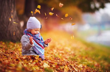 mutlu bebek kız kadar sonbahar parkta oynarken düşen yapraklar atma