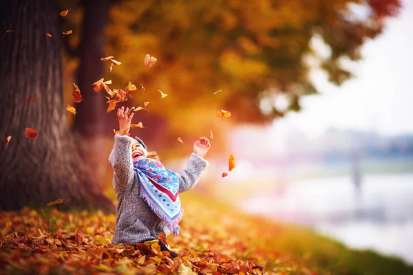 Прелестная счастливая девочка бросает опавшие листья вверх, играя в осеннем парке — стоковое фото