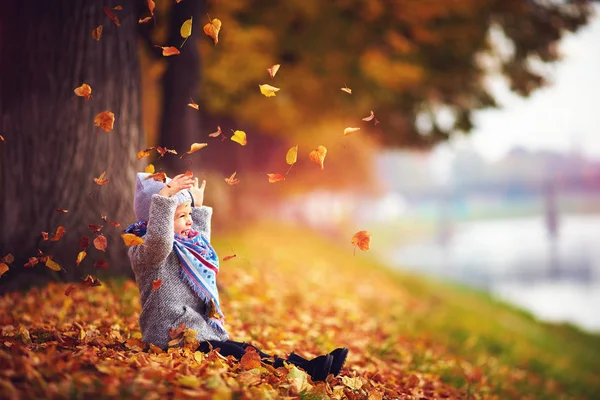 sonbahar parkta oynarken düşen yapraklar, alıcı mutlu bebek kız