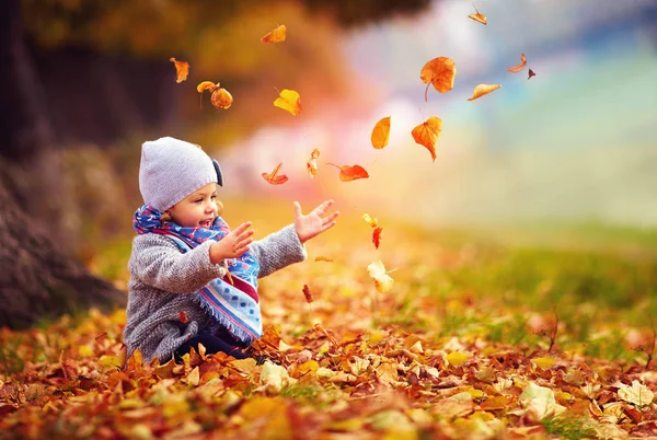 Sonbahar parkta oynarken düşen yapraklar, alıcı mutlu bebek kız — Stok fotoğraf