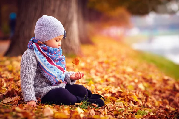 Adorável menina feliz pegando as folhas caídas, jogando no parque de outono — Fotografia de Stock