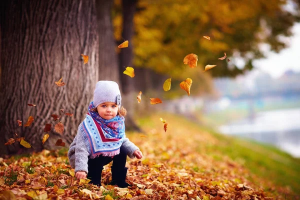 Adorable niña feliz sentado en hojas caídas en el parque de otoño —  Fotos de Stock