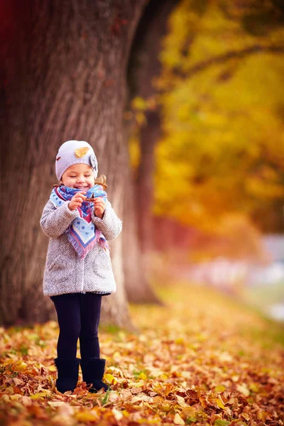Чарівна щаслива дівчинка розважається в осінньому парку, милуючись опалим листям — стокове фото