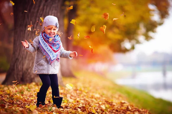 Adorable niña feliz captura de las hojas caídas, jugando en el parque de otoño —  Fotos de Stock