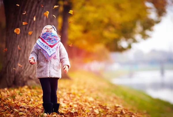 Adorável menina feliz pegando as folhas caídas, jogando no parque de outono — Fotografia de Stock