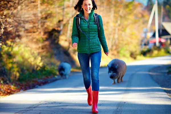 candid funny moment of girl, tourist running away from very friendly pig on the road during the trip