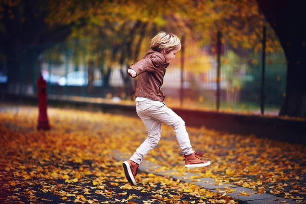 Cute kid, boy in leather jacket having fun at autumn street, jumping and running around on carpet of fallen leaves — Stock Photo, Image
