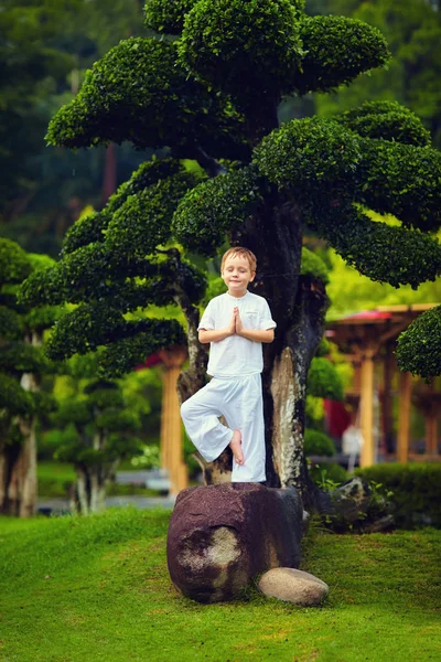 Schattige kleine baby jongen, kid mediteren, permanent op steen in de buurt van de bonsai-boom — Stockfoto