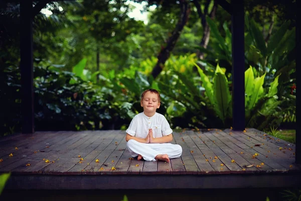 Cute little baby boy, kid meditating in rainy forest park, sitting on wooden decks — Stock Image Cute little baby boy, kid meditating in rainy forest park, sitting on wooden decks Royalty Free Stock Images