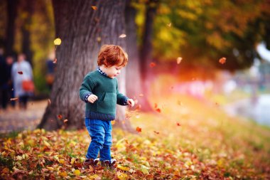 erkek bebek şirin Kızıl renkli düşen yapraklar arasında sonbahar parkta yürüyüş