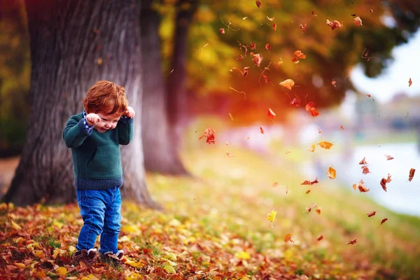 Bonito criança bebê menino jogando no caído folhas no outono parque — Fotografia de Stock