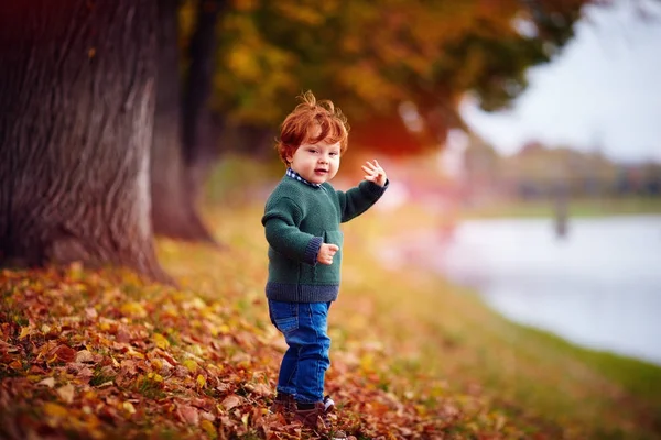 Милий рудий малюк хлопчик махає рукою, ходить в осінньому парку — стокове фото