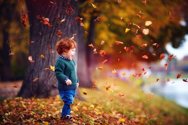 Щасливий малюк хлопчик розважається, грає з опалим листям в осінньому парку — стокове фото