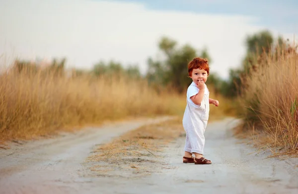 Lindo pequeño pelirrojo bebé niño caminando en rural camino en verano día — Foto de Stock